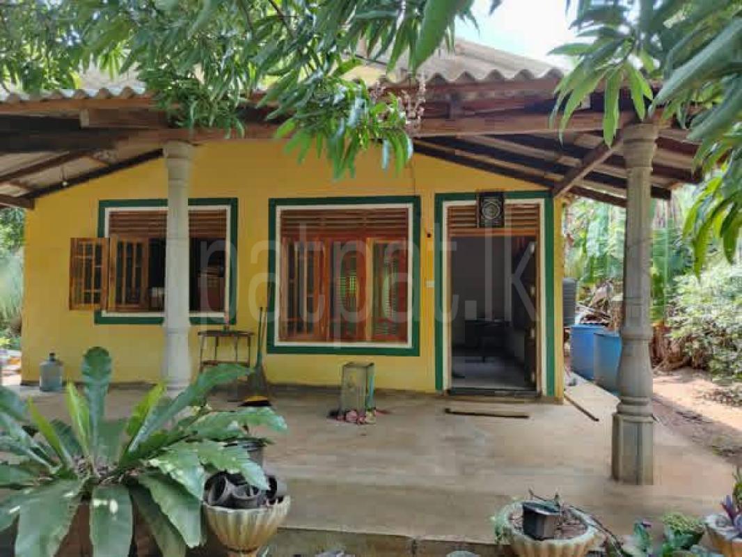 House for Sale in Tissamaharama ads-image-1