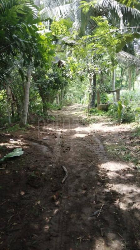 Commercial Land for Sale in Kobeigane ads-image-1