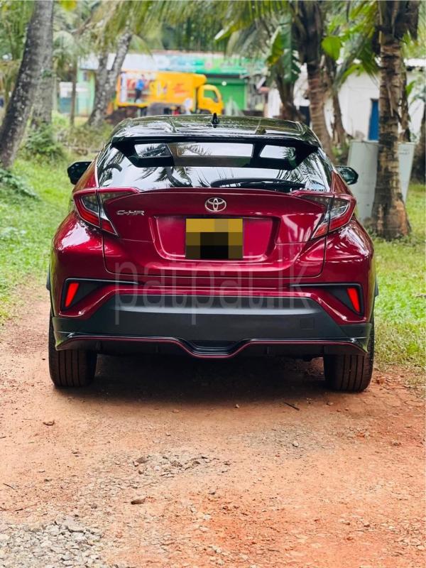 Advertisement image 4