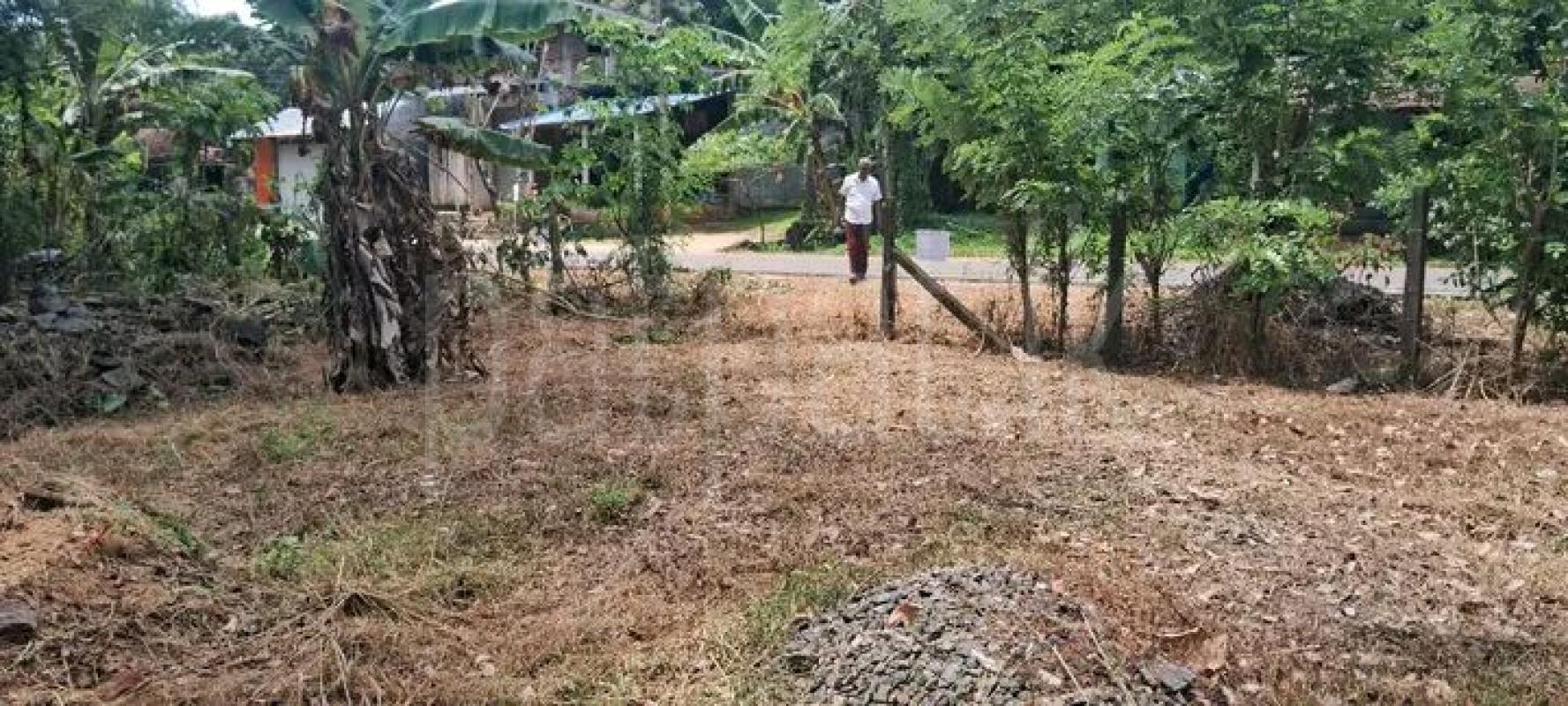 Agricultural Land for Sale in Ibbagamuwa