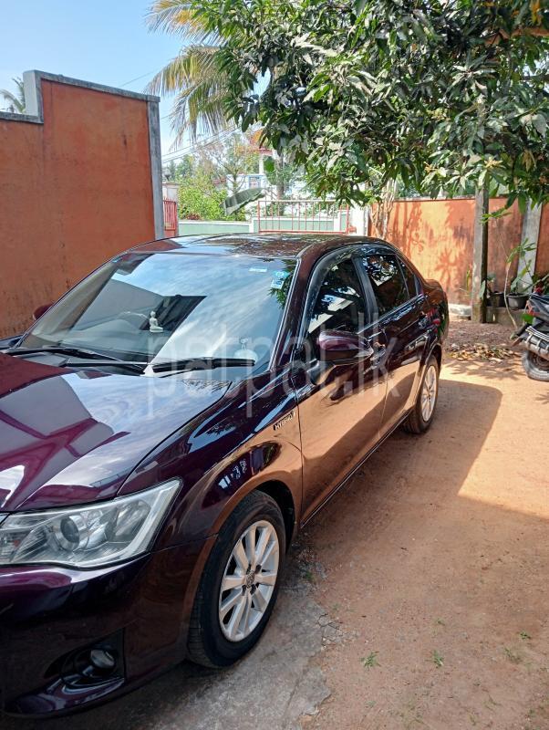 Toyota Axio 2014 - භාවිතා කරන ලද කාර් sale in Sri Lanka - patpat.lk