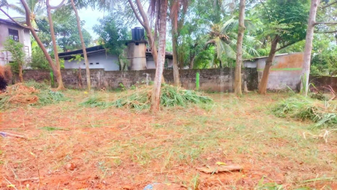 Commercial Land for Sale in Kiribathgoda ads-image-1