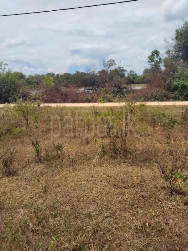 Agricultural Land for Sale in Udawalawe