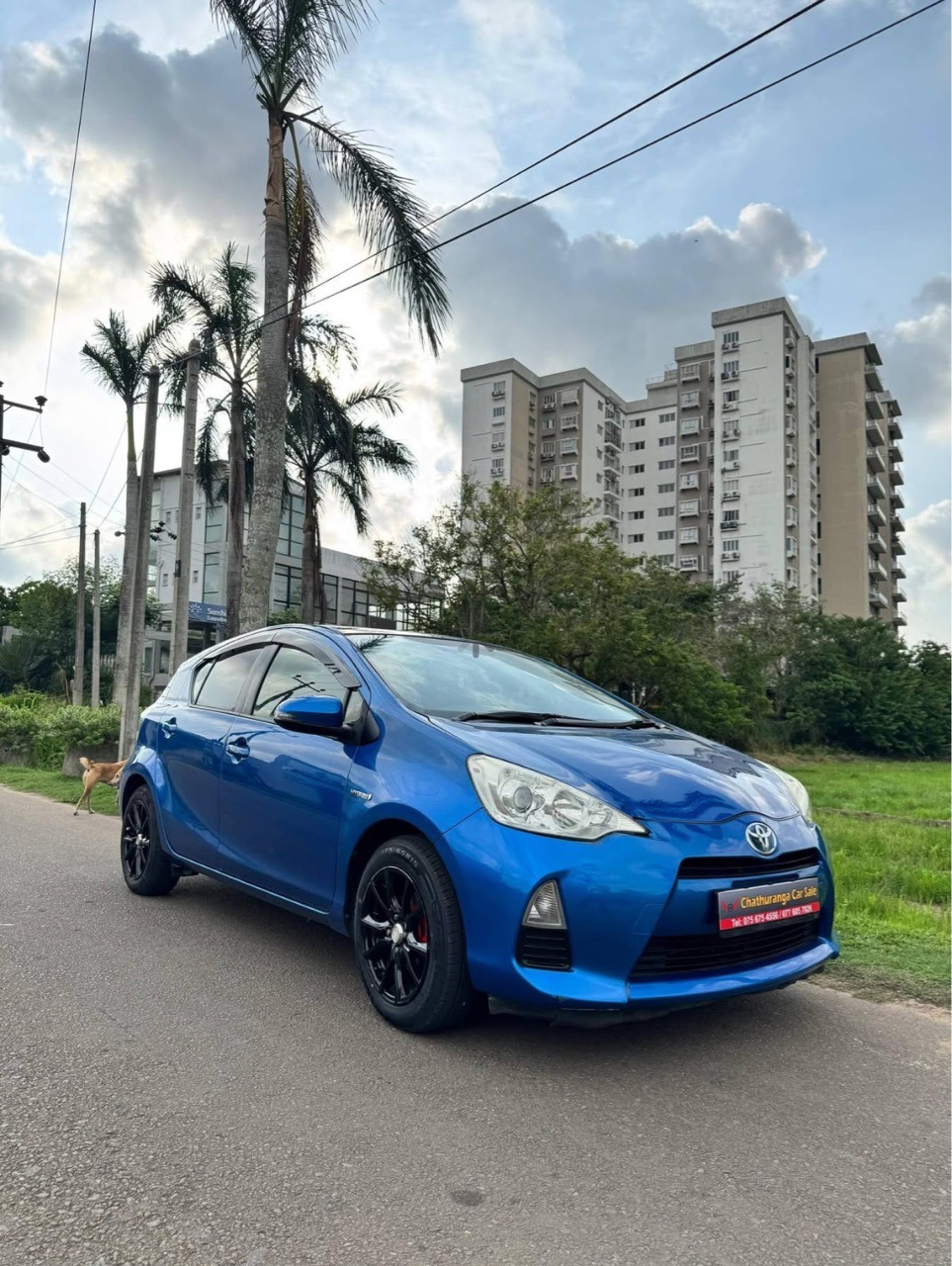 Toyota Aqua 2013 - பயன்படுத்தப்பட்டது கார் sale in Sri Lanka - patpat.lk