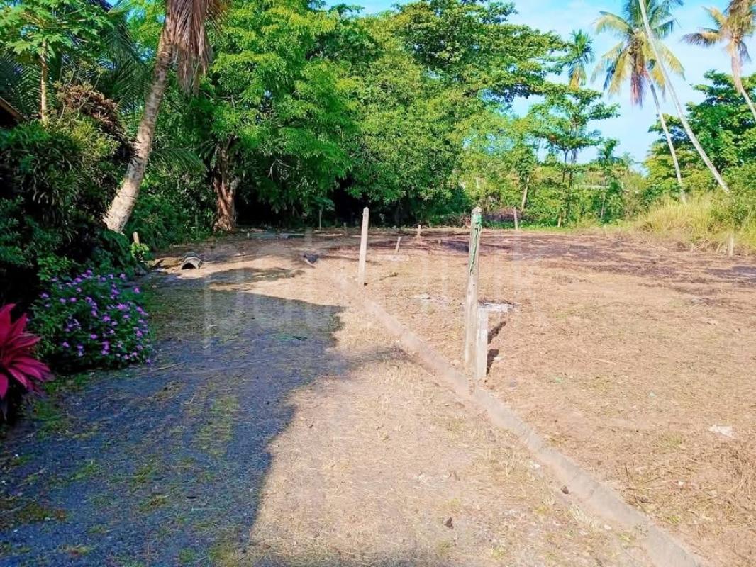 Agricultural Land for Sale in Panadura