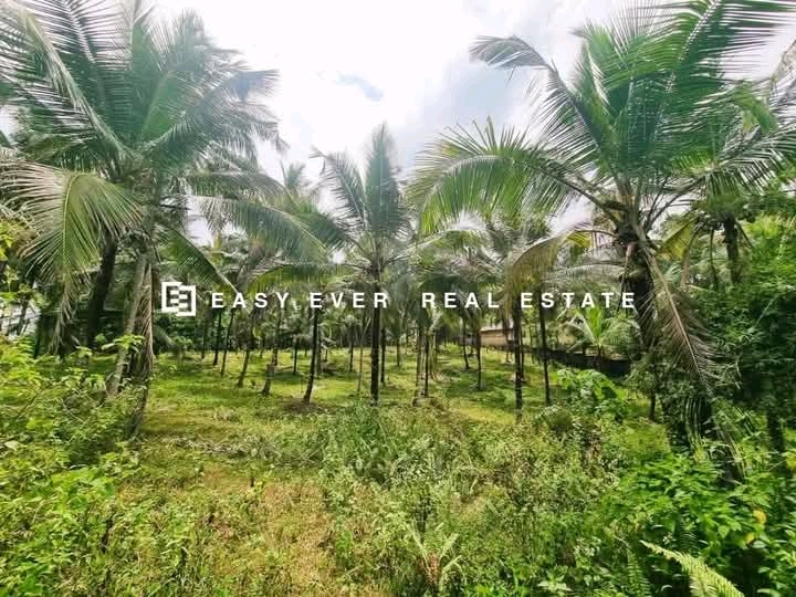 Commercial Land for Sale in Kirindiwela