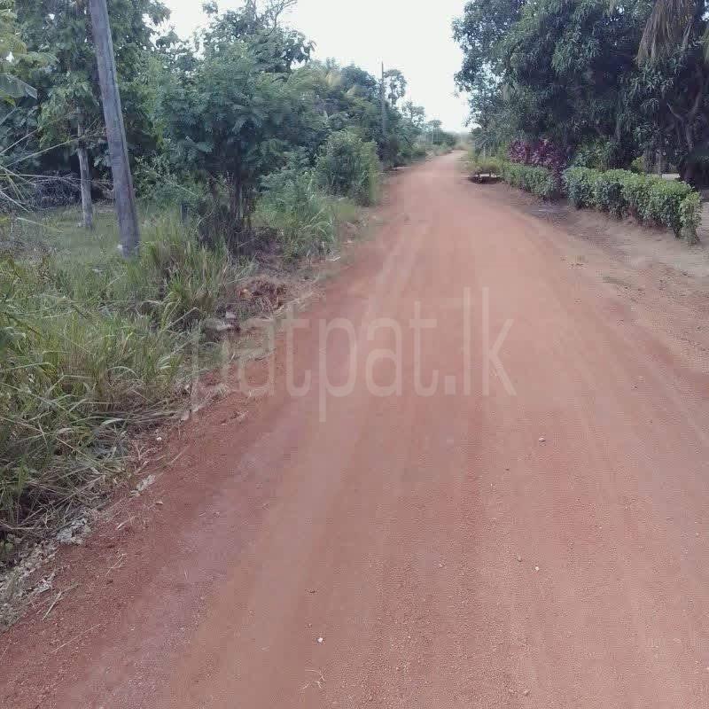 Residential Land for Sale in Talawa
