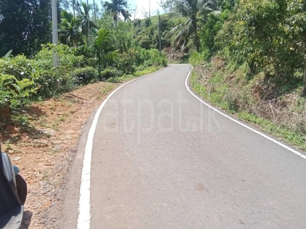 Agricultural Land for Sale in Deniyaya