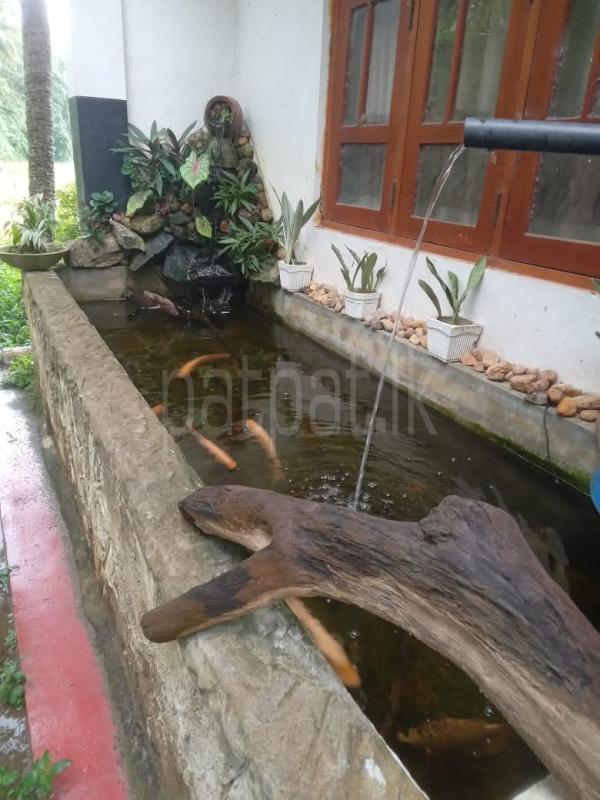 House for Sale in Hemmatagama ads-image-1