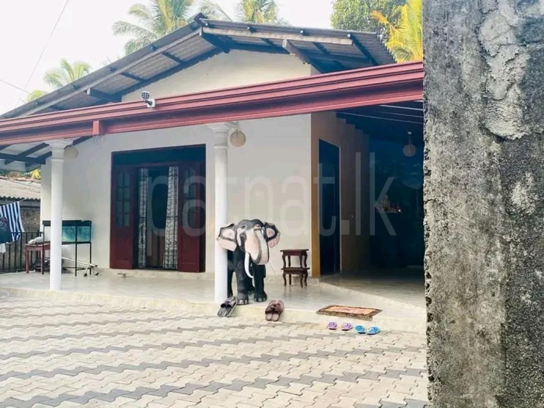 premium-listing-image