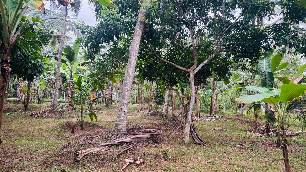 Residential Land for Sale in Weliveriya