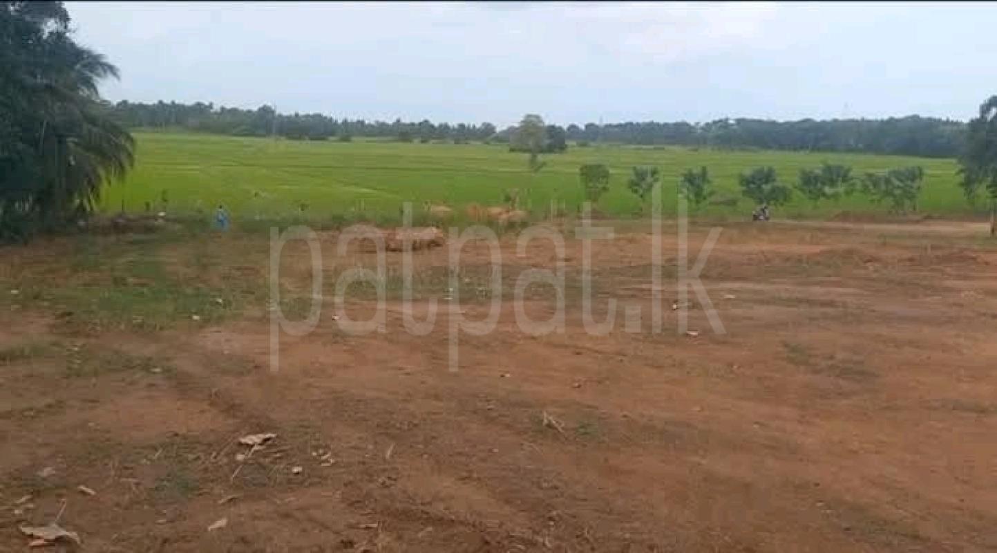 Commercial Land for Sale in Tangalla