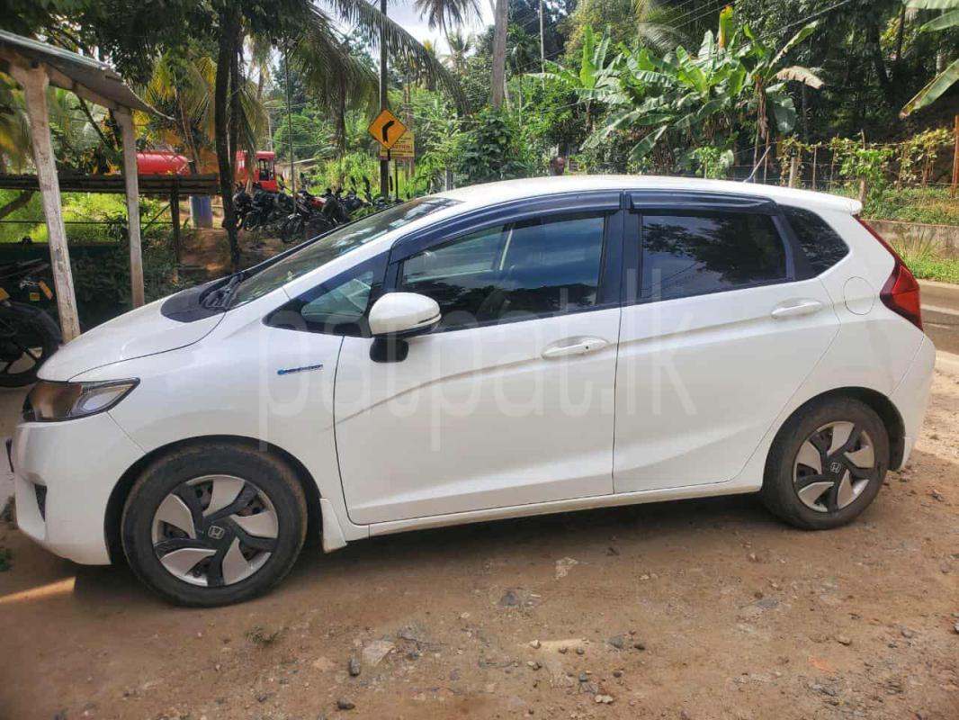 Advertisement image 2