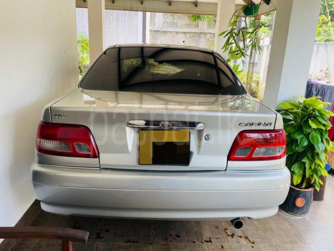 Advertisement image 2