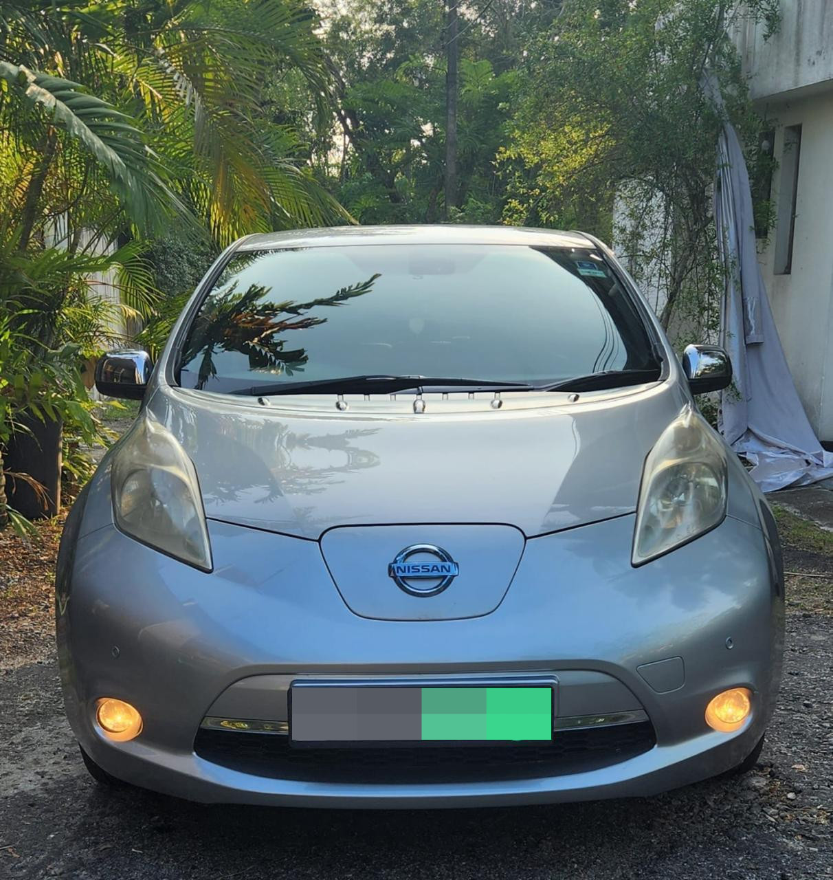 Nissan Leaf 2014 ads-image-1