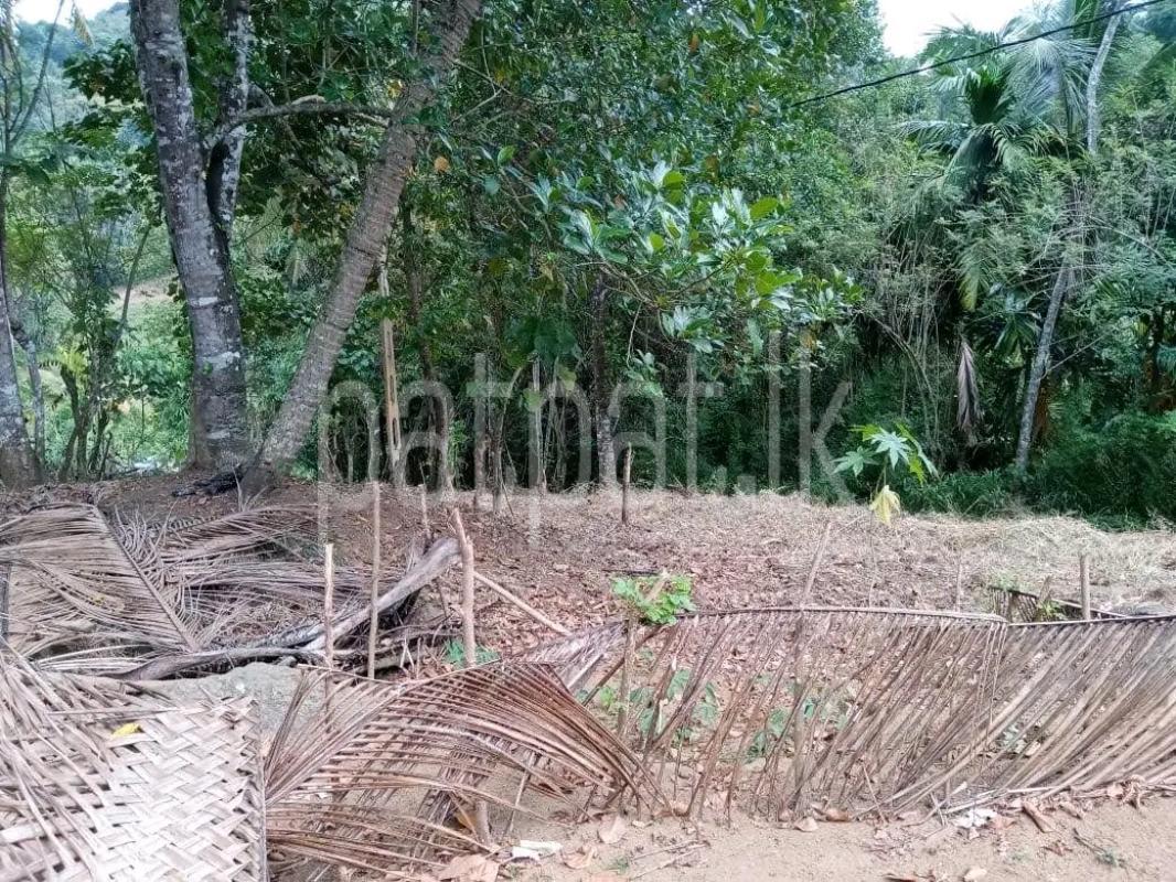 Agricultural Land for Sale in Ridigama