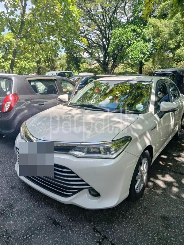 Advertisement image 1