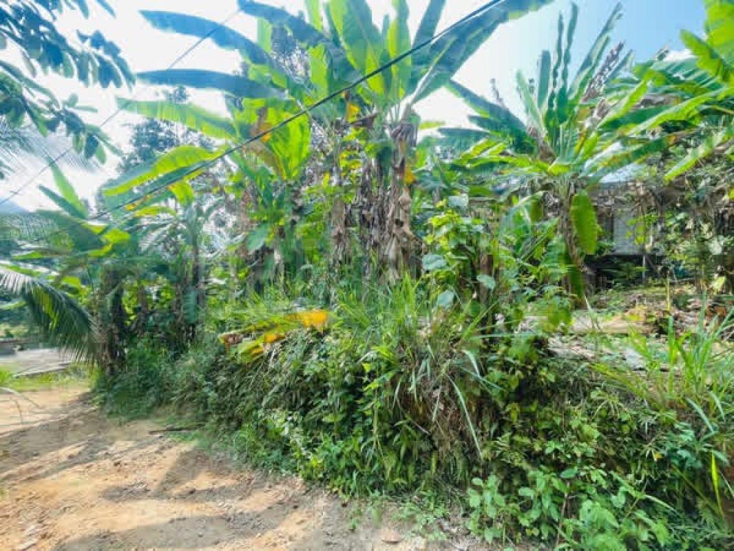 Commercial Land for Sale in Gampola