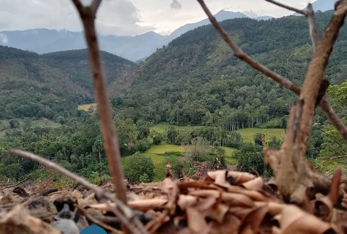 Agricultural Land for Sale in Haputale