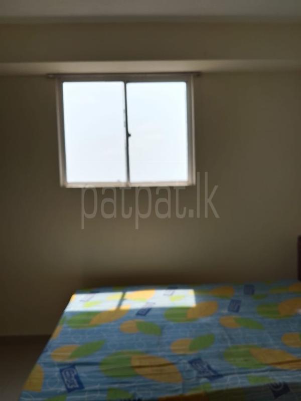  Apartment for Rent in Mount Lavinia