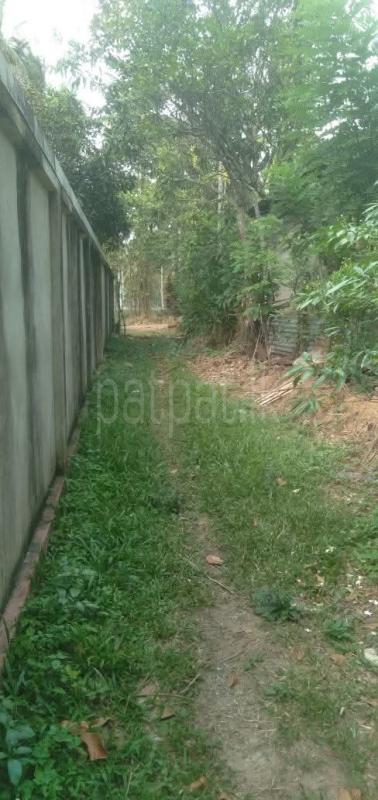 Residential Land for Sale in Divulapitiya ads-image-1