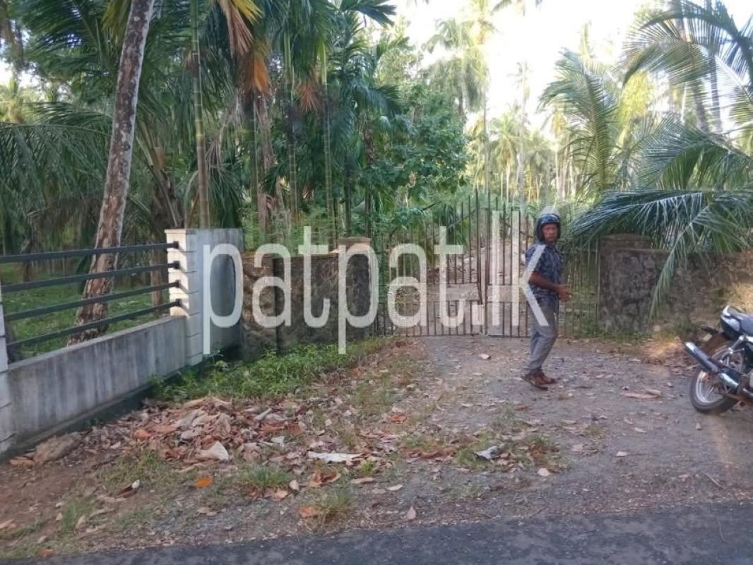 Advertisement image 6