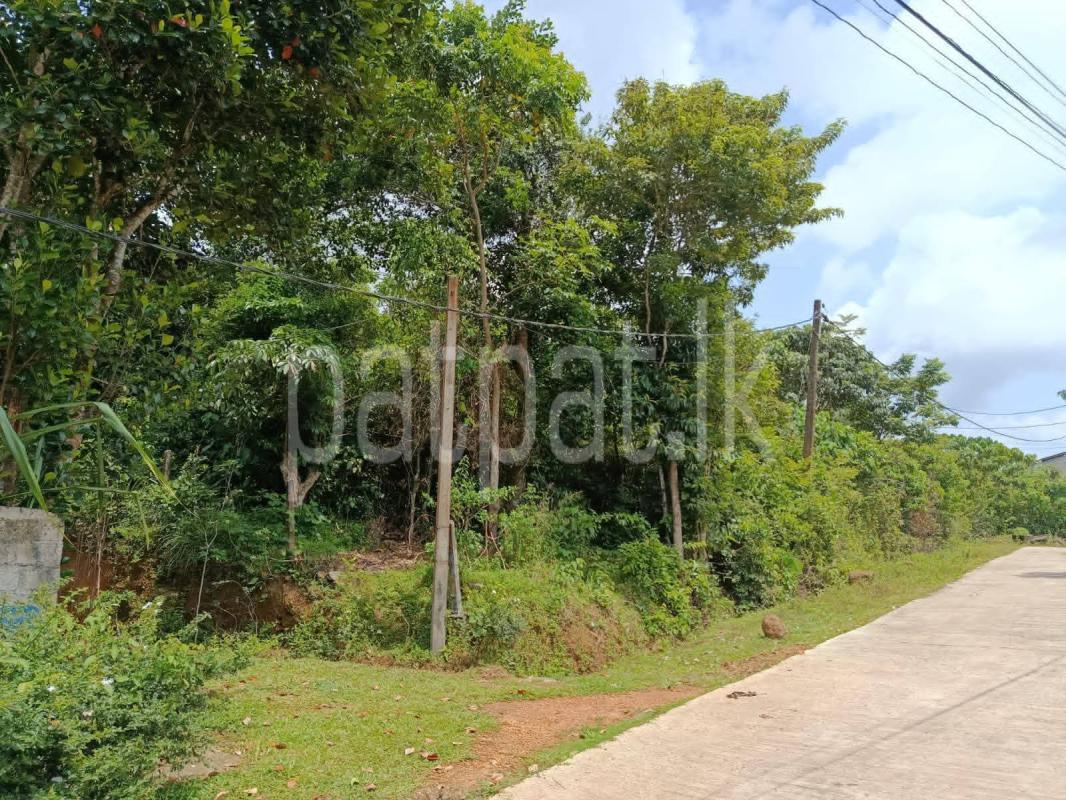 Residential Land for Sale in Gamagoda