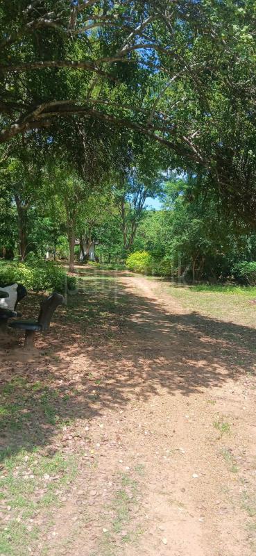 Residential Land for Sale in Kataragama ads-image-1