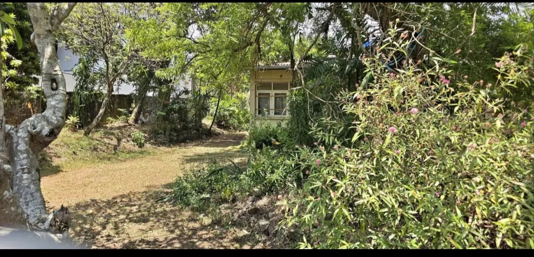 House for Sale in Dehiwala