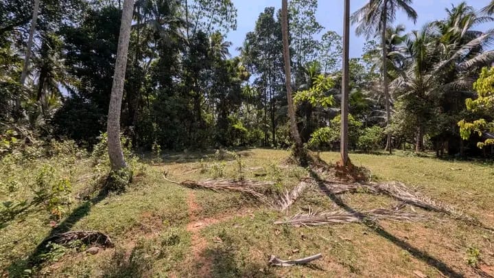 Commercial Land for Sale in Kadawatha ads-image-1