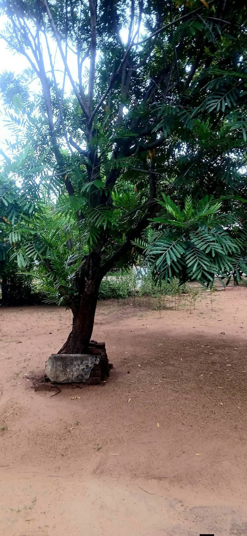 Residential Land for Sale in Kataragama