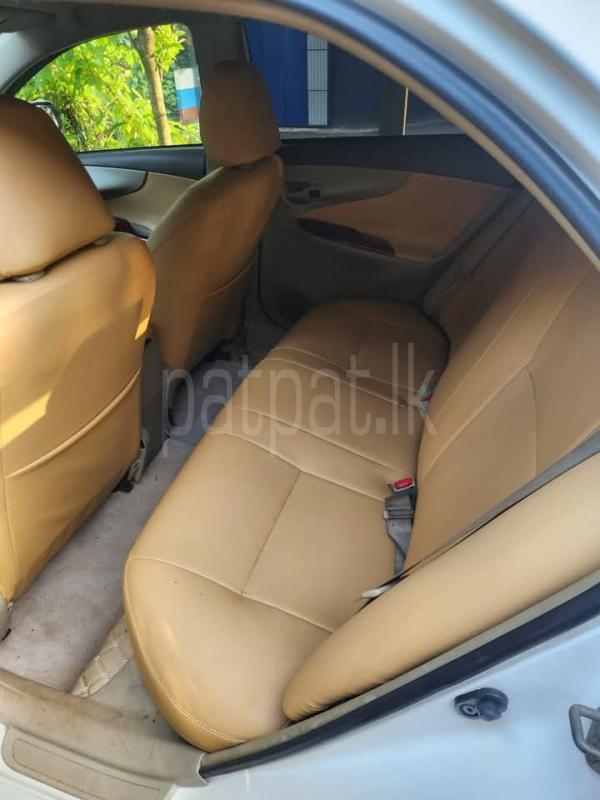 Advertisement image 5