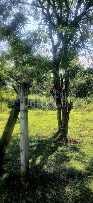 Residential Land for Sale in Kataragama