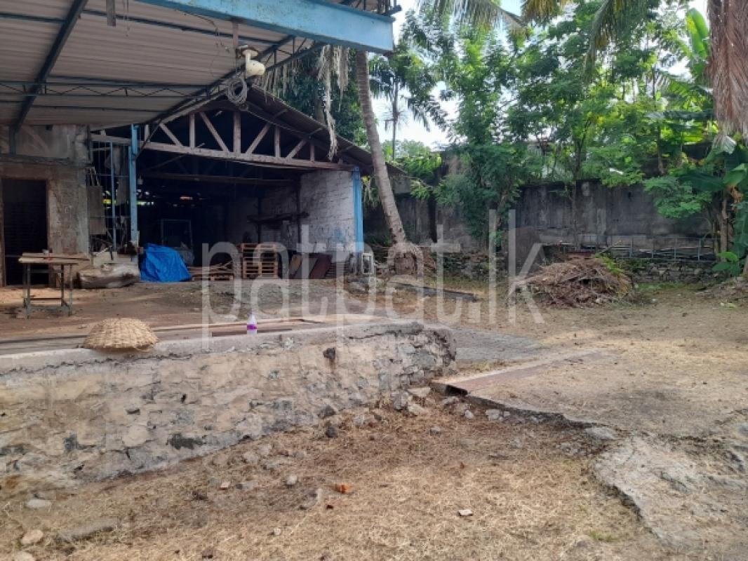 Advertisement image 1