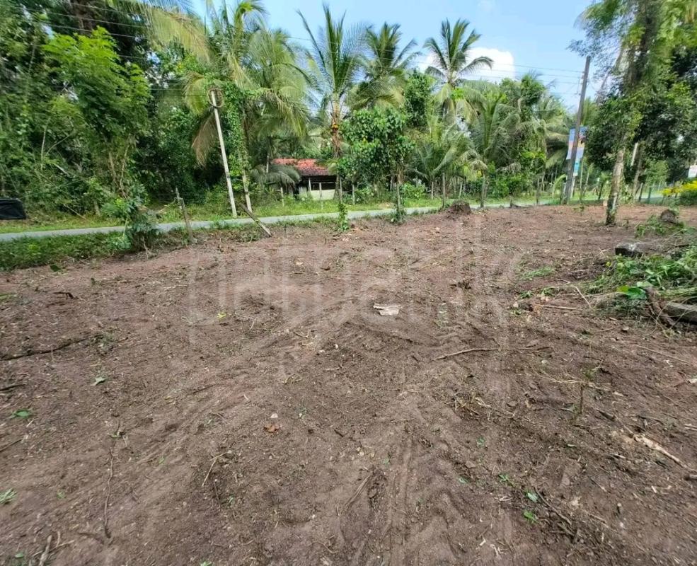 Agricultural Land for Sale in Ridigama