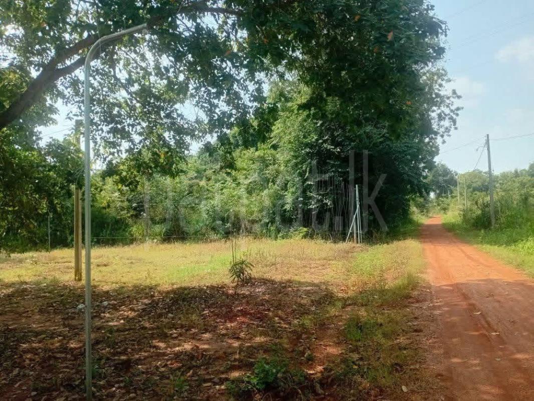 Residential Land for Sale in Anuradhapura ads-image-1