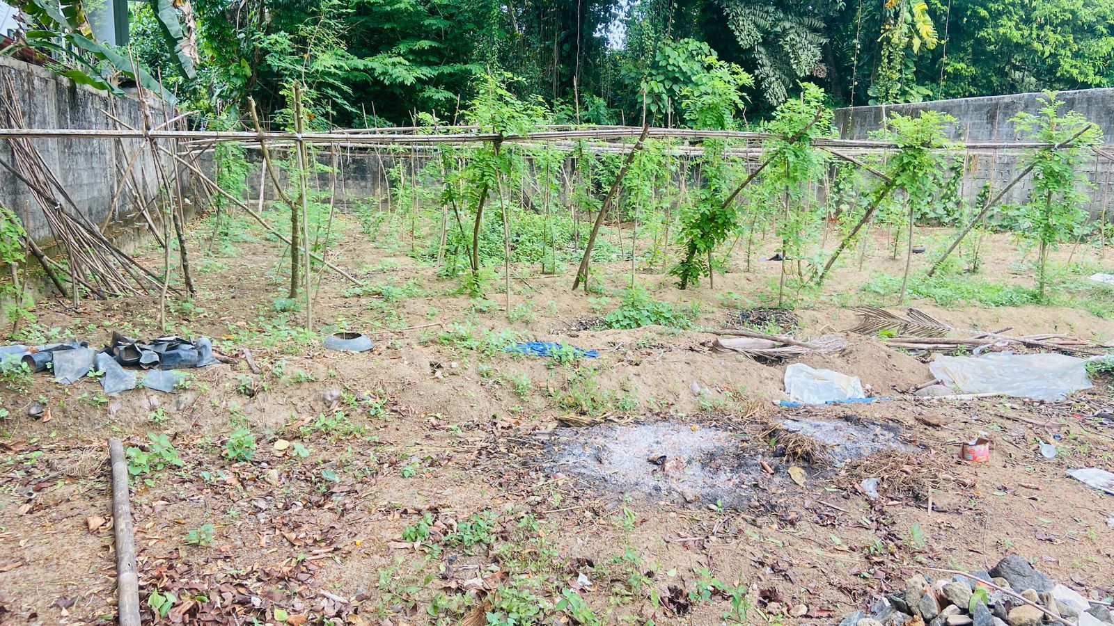 Residential Land for Sale in Bandaragama