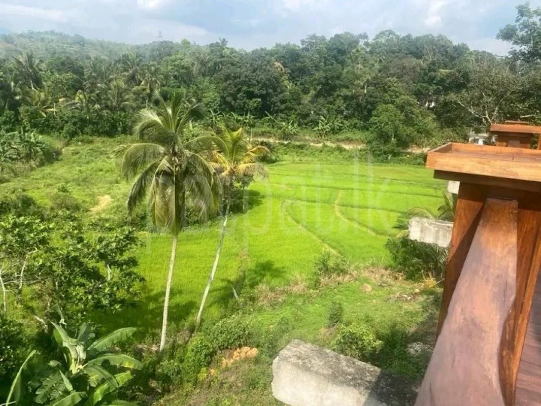 Residential Land for Sale in Balangoda