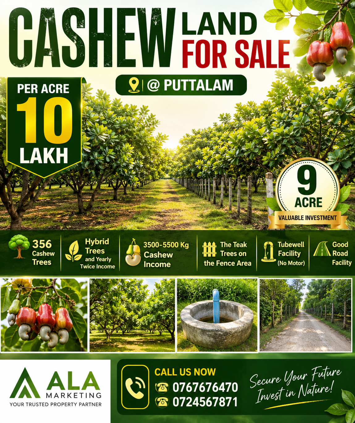 Agricultural Land for Sale in Puttalam