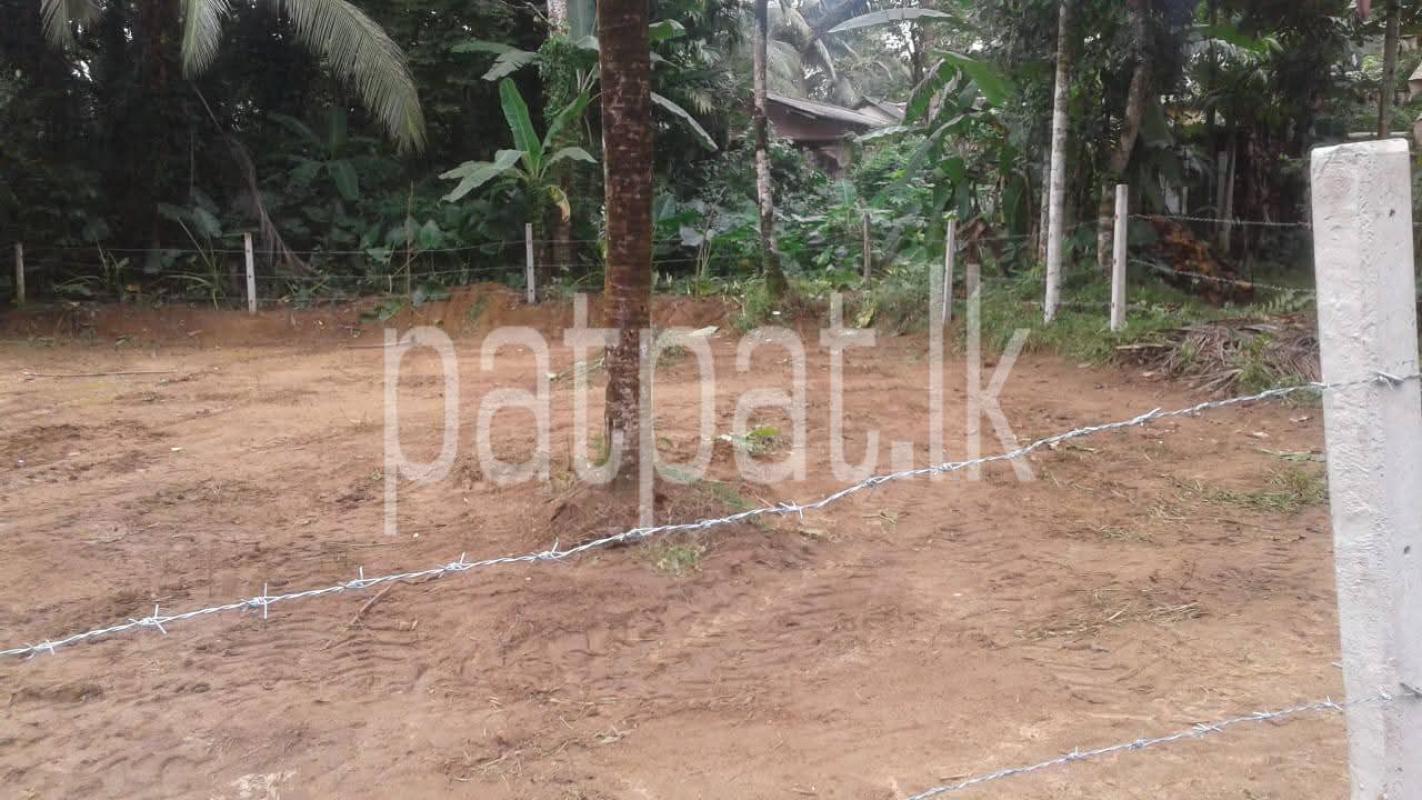 Advertisement image 3