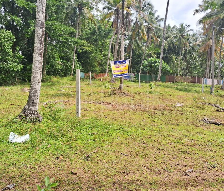 Residential Land for Sale in Gampaha ads-image-1