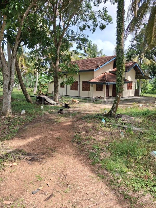 House for Sale in Giriulla