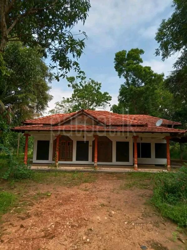 House for Sale in Ambanpola