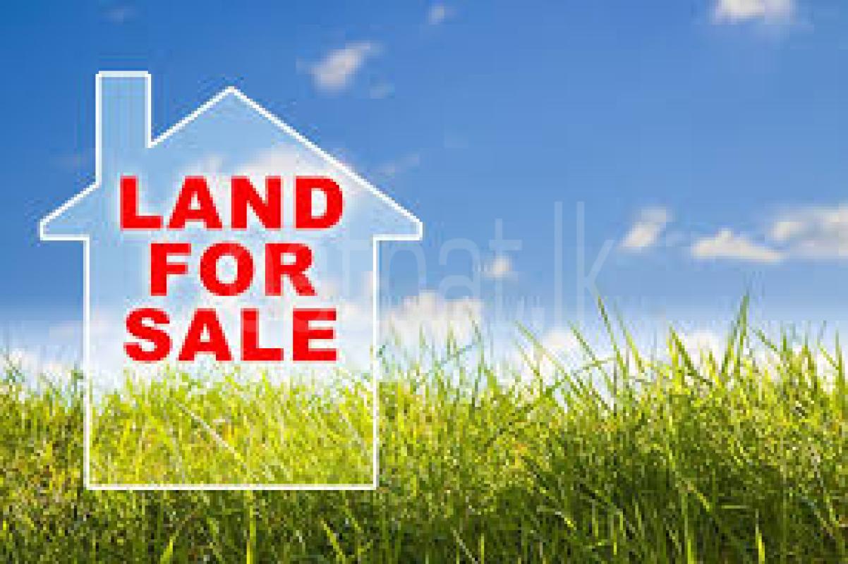 Residential Land for Sale in Bandaragama ads-image-1