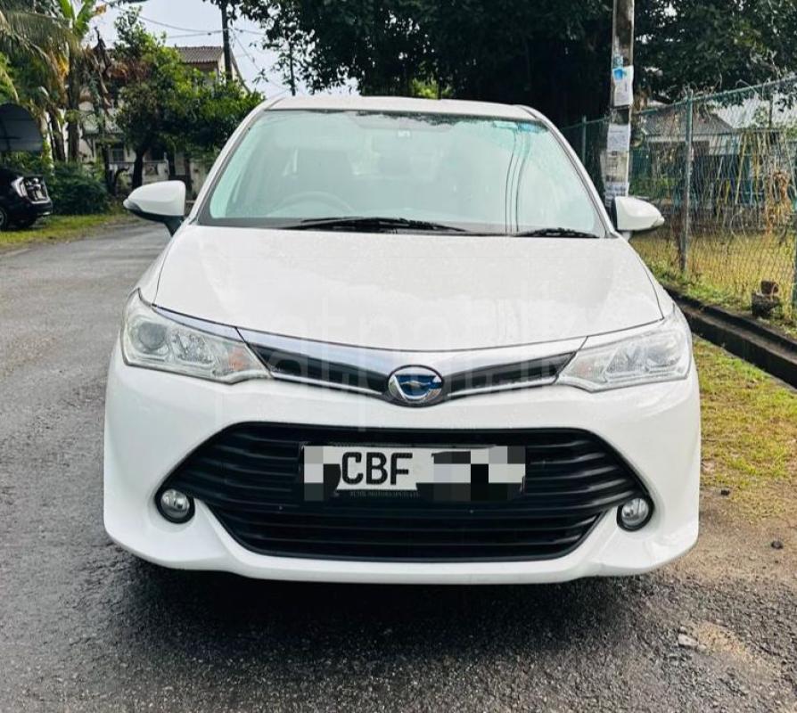 Advertisement image 4