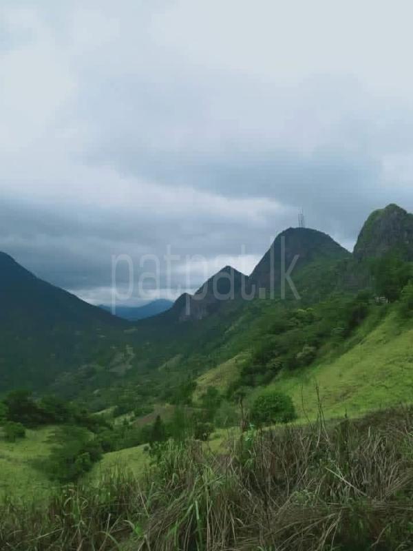 Commercial Land for Sale in Matale