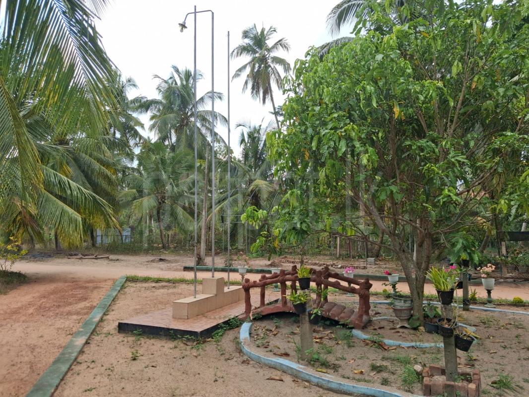 House for Sale in Nattandiya