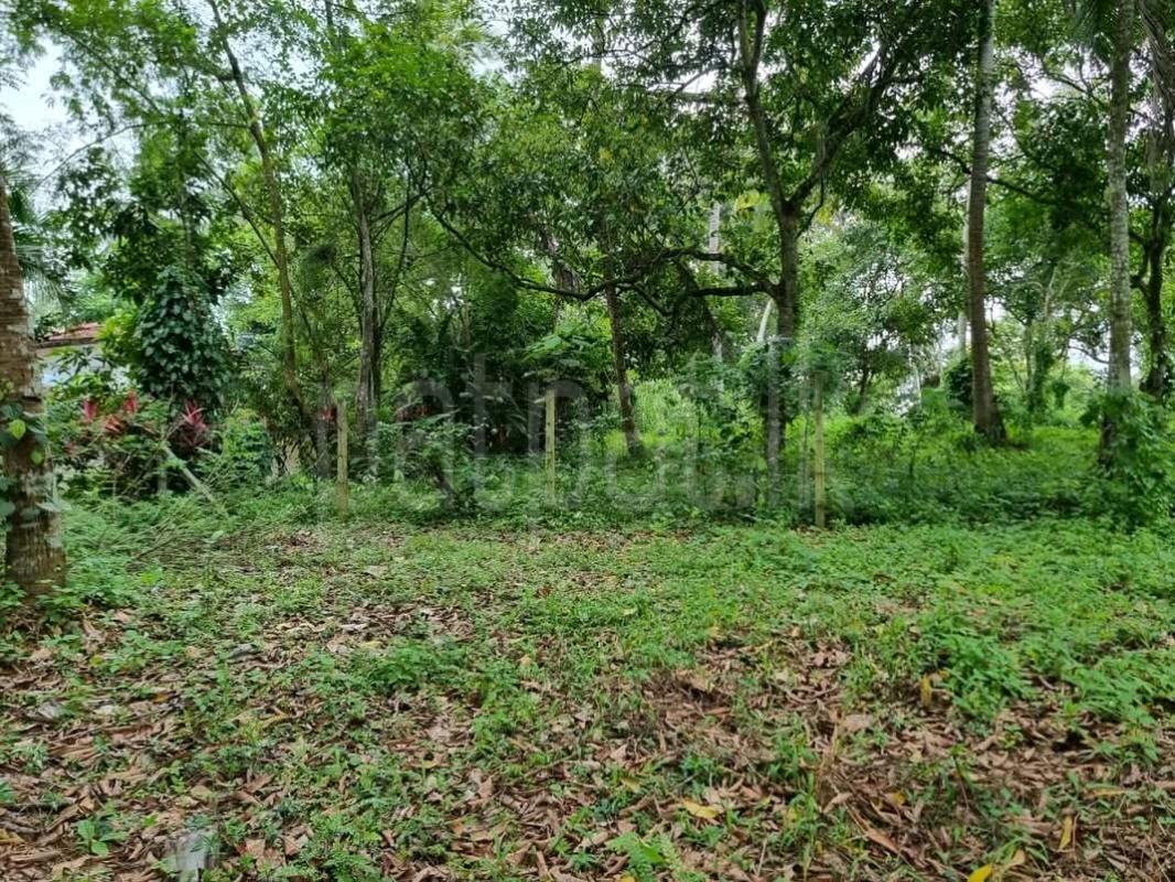 Agricultural Land for Sale in Padukka