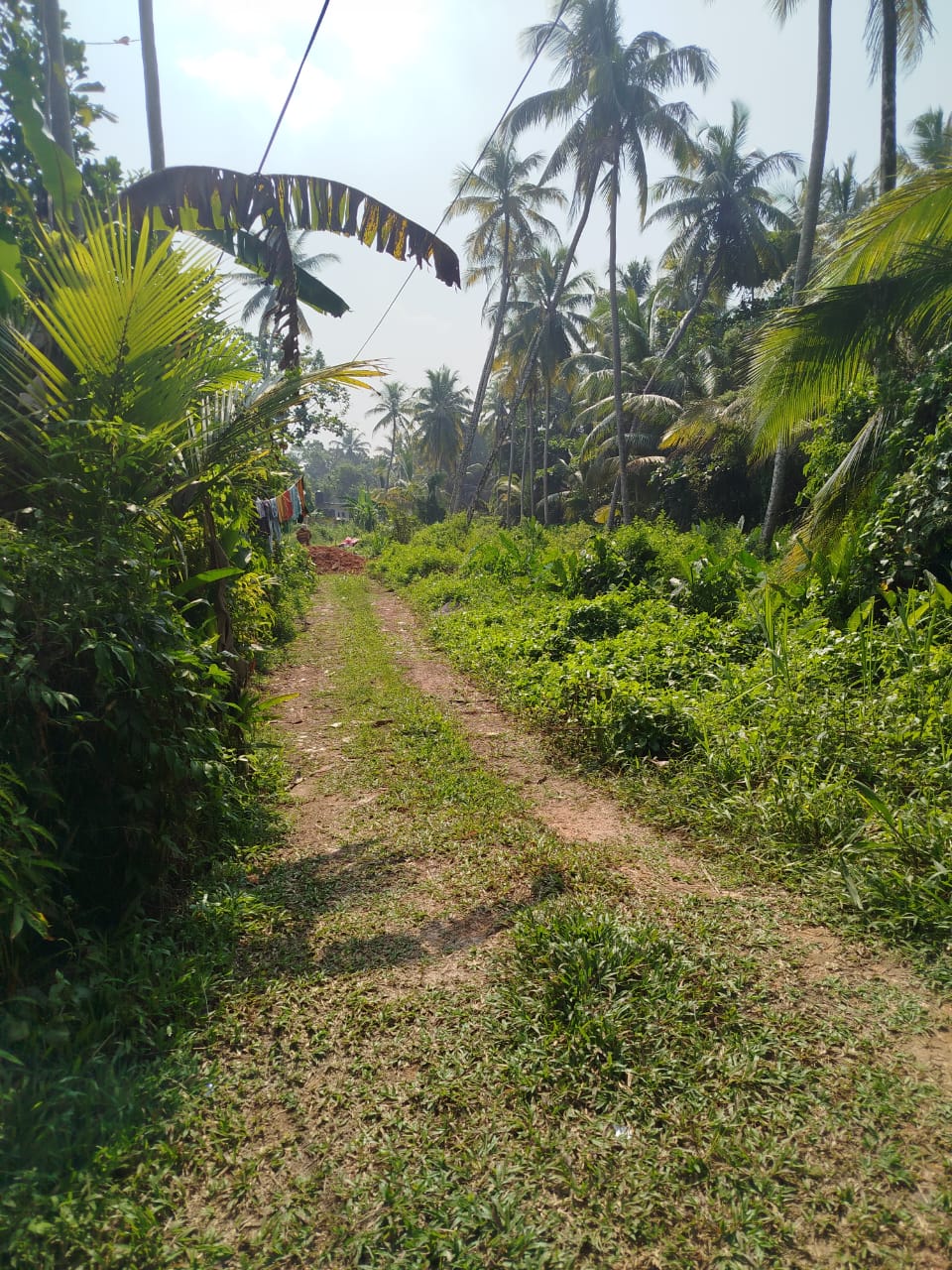 Residential Land for Sale in Beruwala