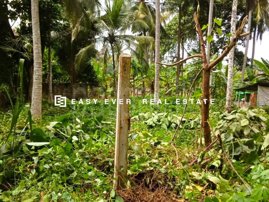 Residential Land for Sale in Veyangoda
